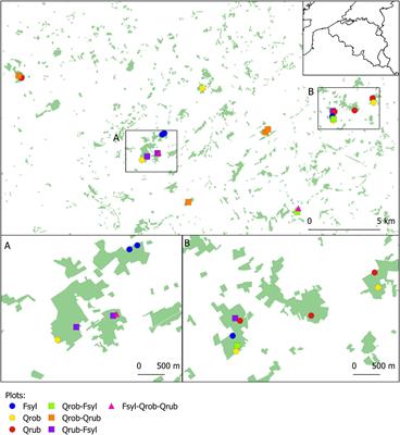 Tree Species Diversity and Forest Edge Density Jointly Shape the Gut Microbiota Composition in Juvenile Great Tits (Parus major)